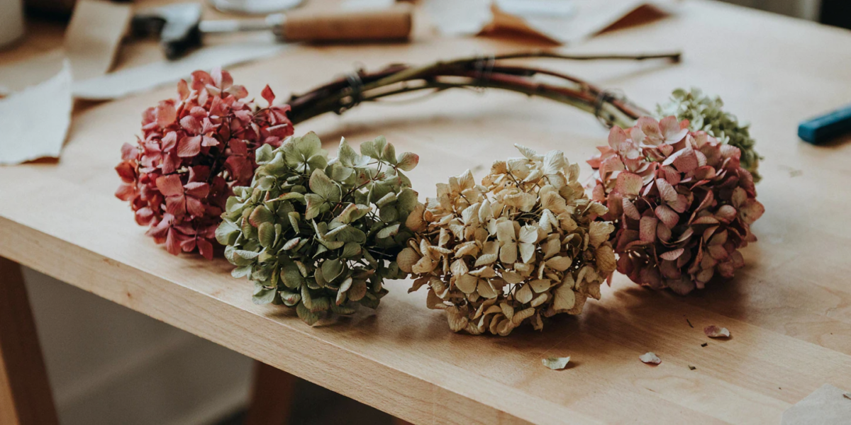 Dried hydrangea heads in muted pink and green wired onto a grapevine wreath